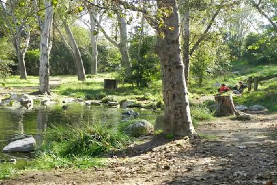 Hopkins Wilderness Park, Redondo Beach, CA